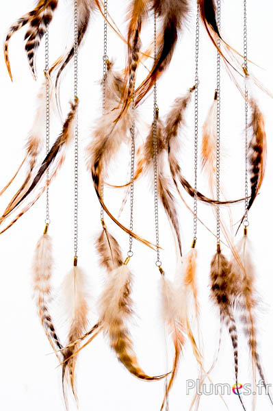Bijoux pour cheveux